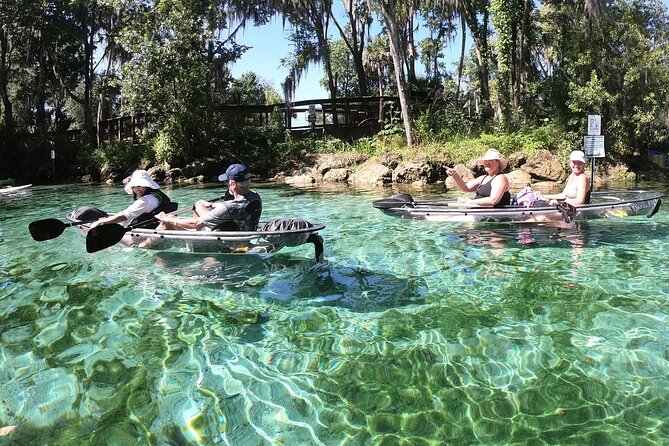 All Clear Kayak Springs & Manatees Tour Of Crystal River - Booking Information