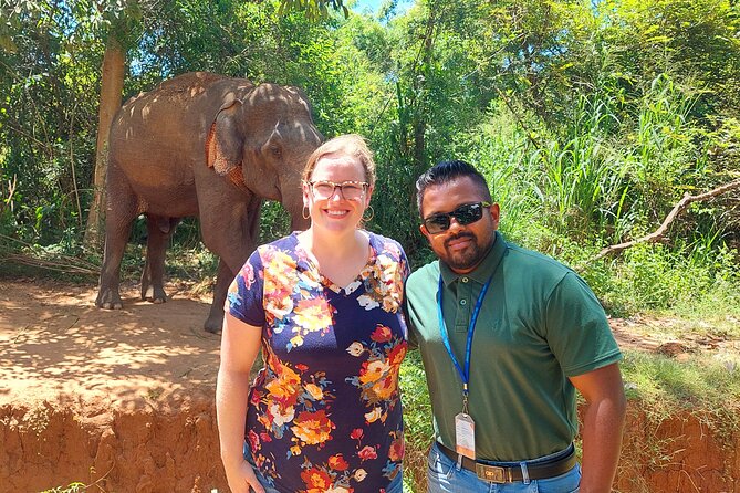 All Inclusive Udawalawe National Park Safari Day Tour From Colombo and Negombo - What to Expect