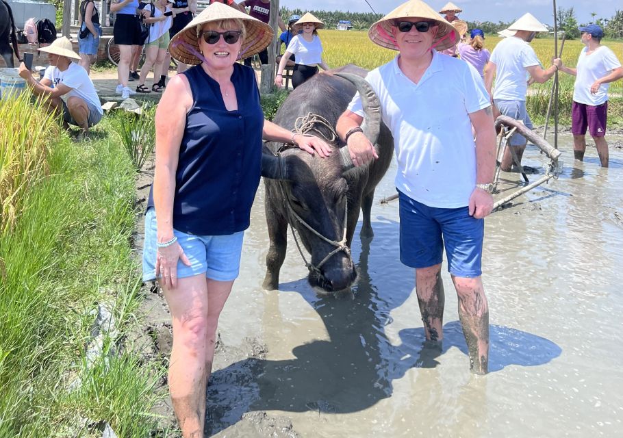 An Incredible Hoi an - Water Buffalo Riding & Cooking Class - Interactive Cooking Class