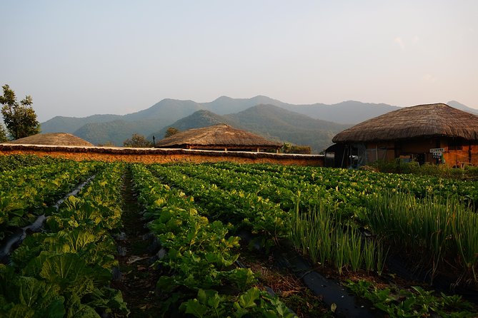 Andong Hahoe Village [Unesco Site] Premium Private Tour From Seoul - Customer Experiences and Reviews