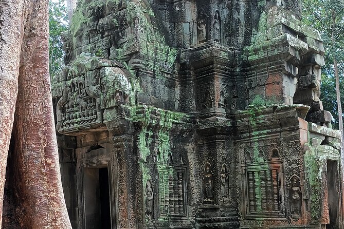 Angkor Wat Sunrise Full Day Tour - Customer Reviews and Ratings