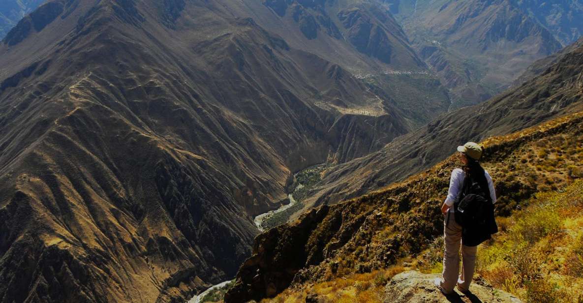 Arequipa: Colca Valley and Condor Viewpoint 2 Days/1 Night - Booking Information