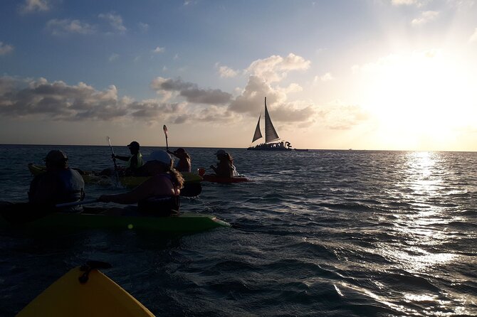 Aruba Night Glass Kayak Tour - Tips for Participants