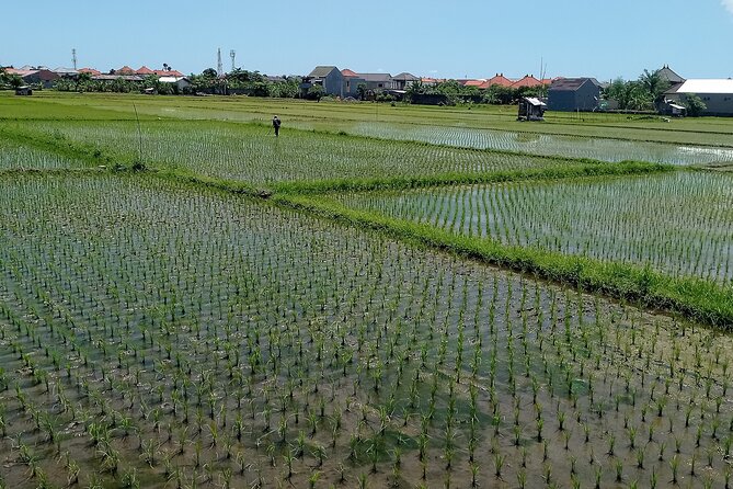 Authentic Sanur Village E-bike Tour - Environmental Commitment