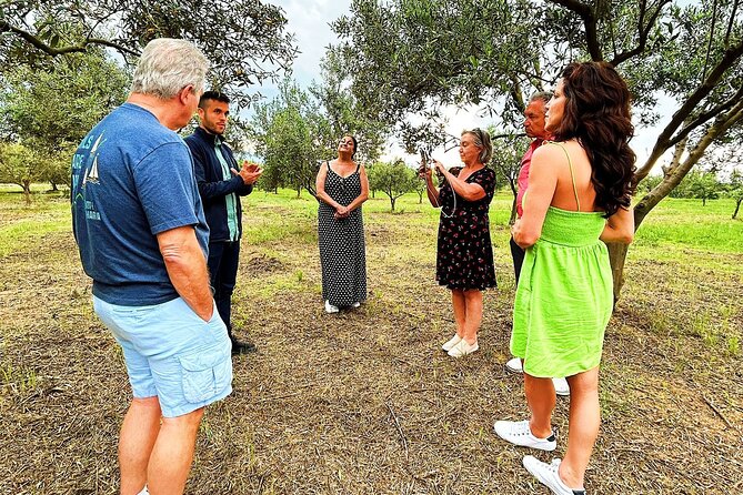 Balestrate Olive Grove Tour: Wine and Olive Oil Tasting - The Olive Oil Production Process