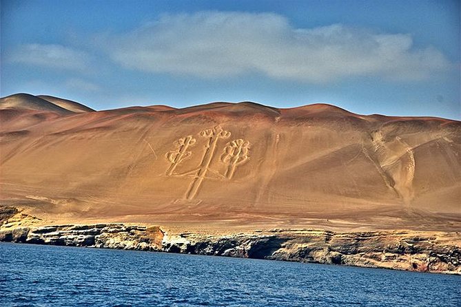 Ballestas Islands Group Tour From Paracas - Additional Information for Travelers