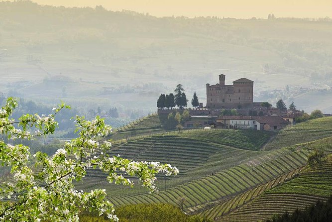 Barolo Wine and Food Tasting at Piedmont Region Winery - Common Feedback