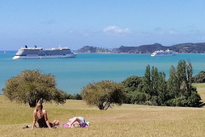 Bay of Islands Half-Day Private Tour - Accessibility Information