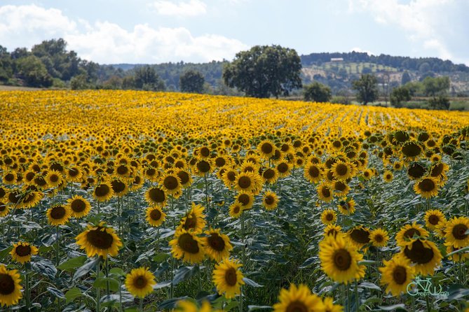 Bevagna E-Bike Farm to Table - Planning Your Visit