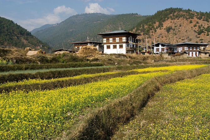 Bhutan Vacation (5 Nights-6 Days) - Travel Tips for Bhutan