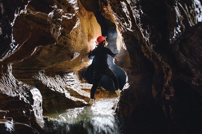 Black Abyss: Ultimate Waitomo Caving - Private Tour From Auckland - Booking Information and Tips