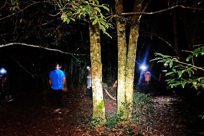 Blue Mountains Hiking Glow Worms Cave Wildlife Spotlighting Night Adventure - Booking and Cancellation Policy