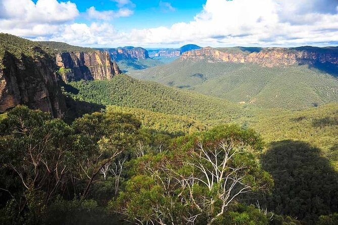 Blue Mountains Private Tour From Sydney - Customization and Personalization Options