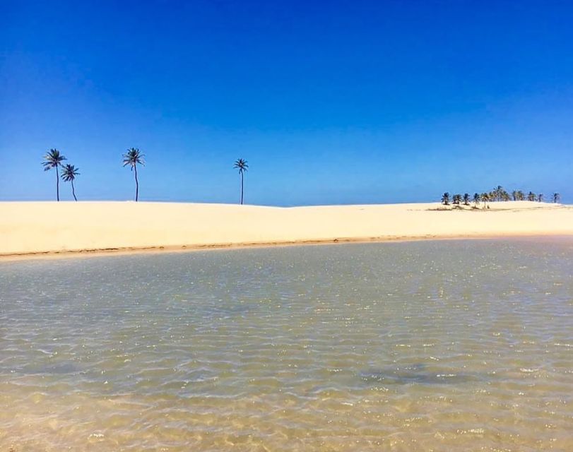 Boat Ride: São Francisco River, the Largest in Brazil - Environmental Preservation Efforts