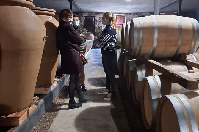 Bordeaux Médoc Region Private Wine Lovers Tour With Chateau Visits & Tastings - What to Expect