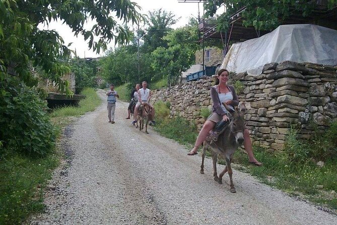 Cabrio Bus Safari and Green Lake Boat Trip From Side - Optional Zoo Visit