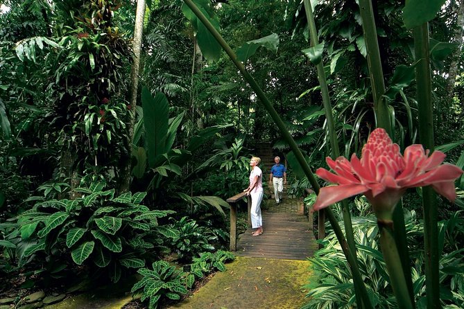 Cairns City Sights and Surrounds Tour - Ideal Visitors