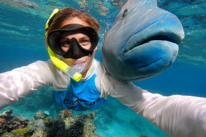 Calypso Outer Great Barrier Reef Cruise From Port Douglas - Tips for a Great Experience