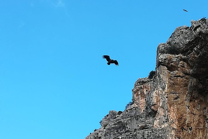 Caminito Del Rey Trekking Walkway - Safety Guidelines