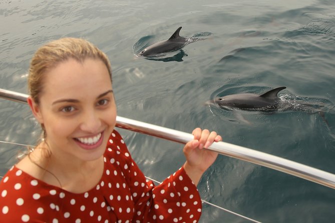 Captain Cook and Dolphin Cruise - Conservation Efforts