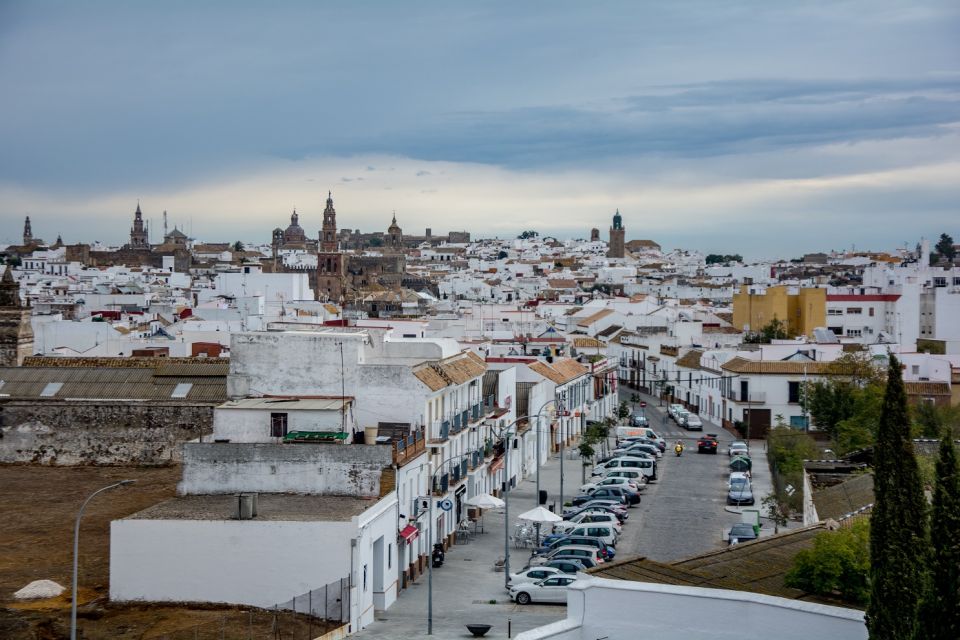 Carmona and Necropolis Tour From Seville - Participant Information