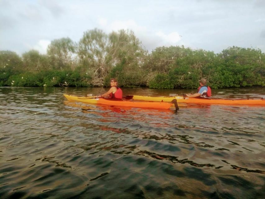 Cartagena: Walled City Kayak Tour - Accessibility Features