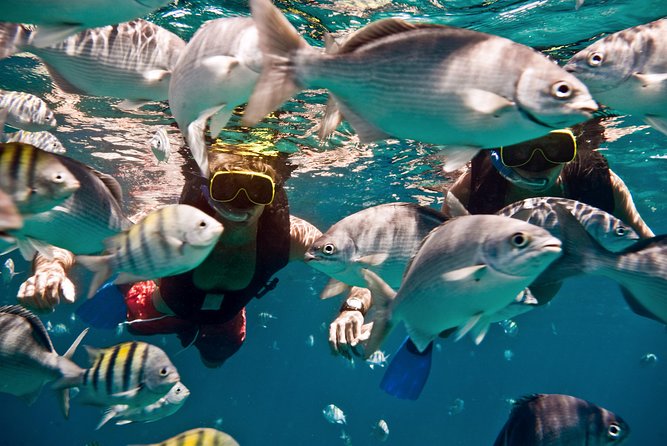 Catamaran and Snorkeling Cruise At Carlisle Bay - Tips for a Great Experience