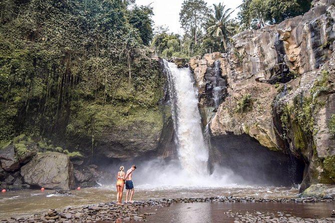 Central Bali Tour: Ubud Village, Kintamani Volcano, and Waterfall - Ubud Monkey Forest