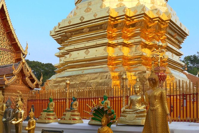 Chiang Mai City & Temples Tour - Cancellation Policies