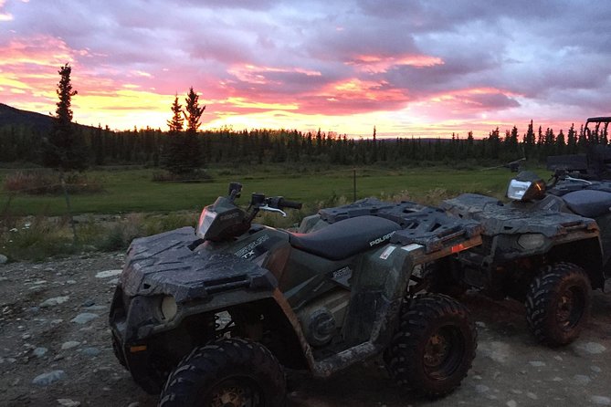 Classic ATV Adventure With Back Country Dining - Scenic Highlights of Denali