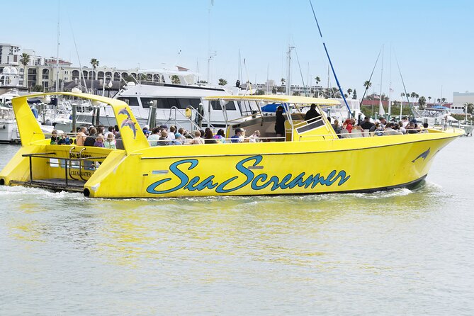 Clearwater Beach Dolphin Speedboat Adventure With Lunch & Transport From Orlando - Important Trip Information