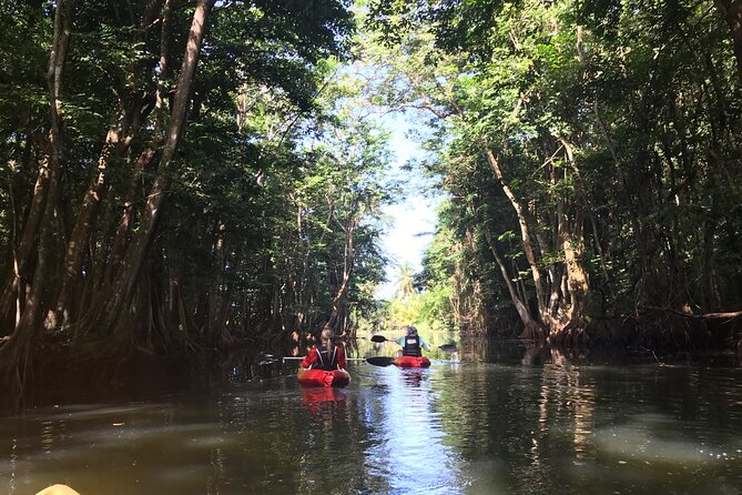 Coastal and River Kayaking Adventure at Marigot Bay - Tips for a Great Adventure