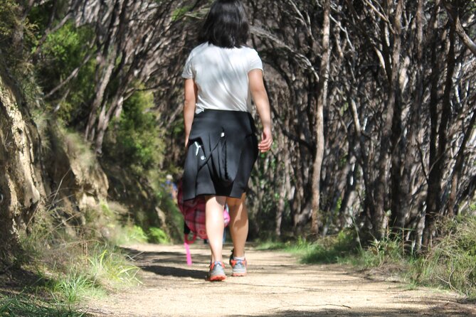 Coromandel Coastal Walkway Day Tour Ex Colville - Reviews and Feedback