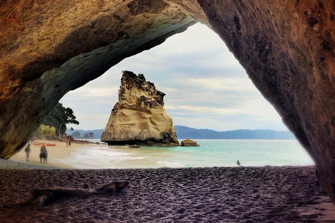 Coromandel Peninsula Discovery - Private Tour From Auckland - What to Bring