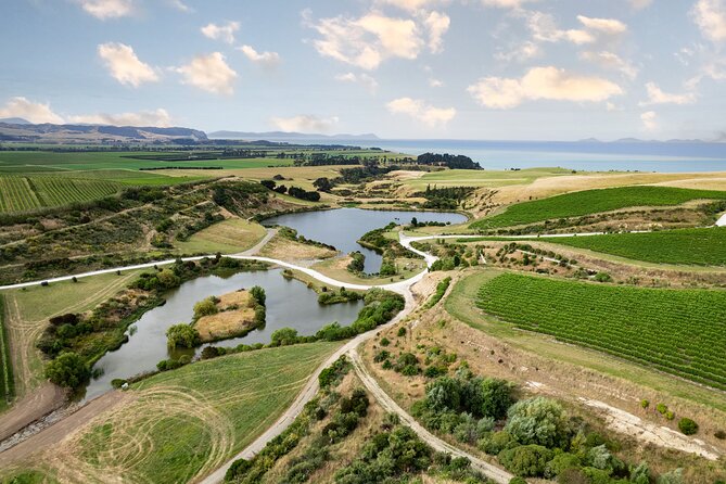 CRUISE SHIP DAY Hop on Hop off Yealands & Marlborough Tour - Local Attractions to Explore