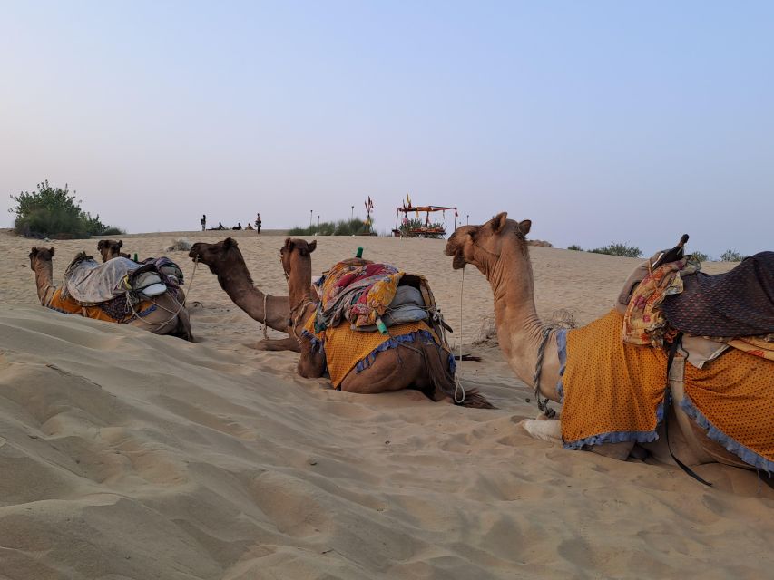Cultural Show & Evening Entertainment in the Luxury Resort - Additional Activities Available