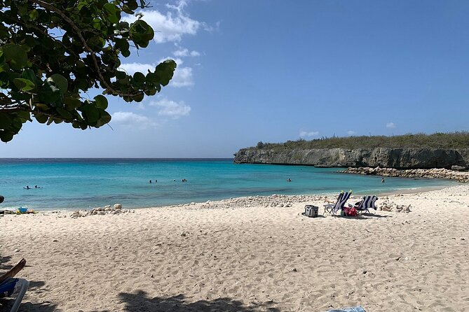 Curacao Sea Turtle Swim and West Side Natural Highlights - Visitor Reviews and Feedback