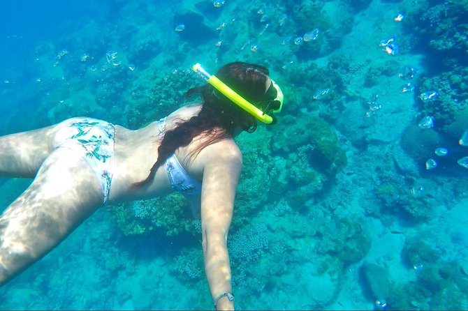 Dash and Splash Snorkel Adventure St Lucia - Tips for Snorkeling