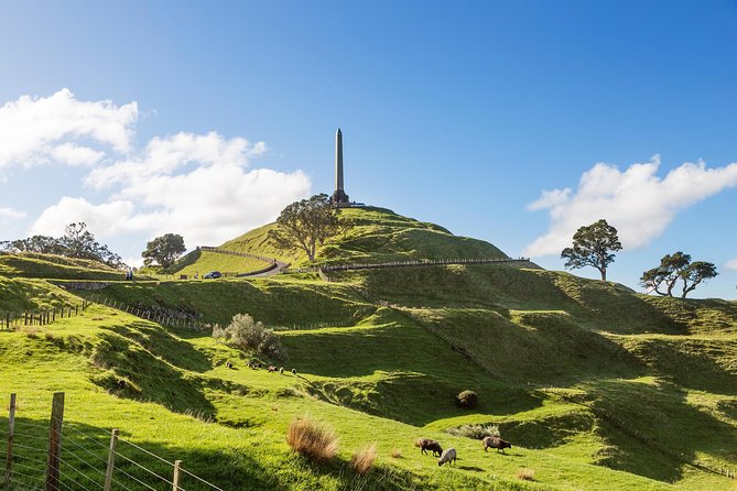 Discover Auckland City - Highlights Tour - Customer Reviews and Experiences