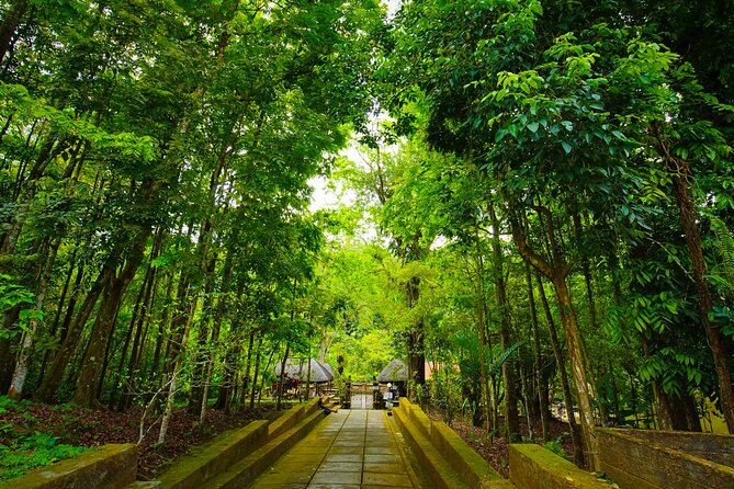 Discover Hidden Waterfall, Unesco Rice Terraces and Mountain Temple - Health and Safety Guidelines