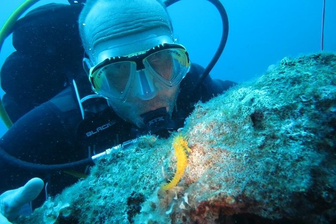 Discovery Scuba Diving Taormina & Isola Bella - Booking Information and Policies