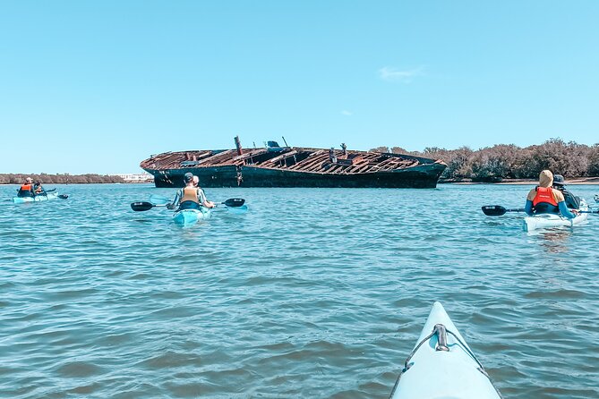 Dolphin Sanctuary Kayak Tour Adelaide - Tips for a Great Experience