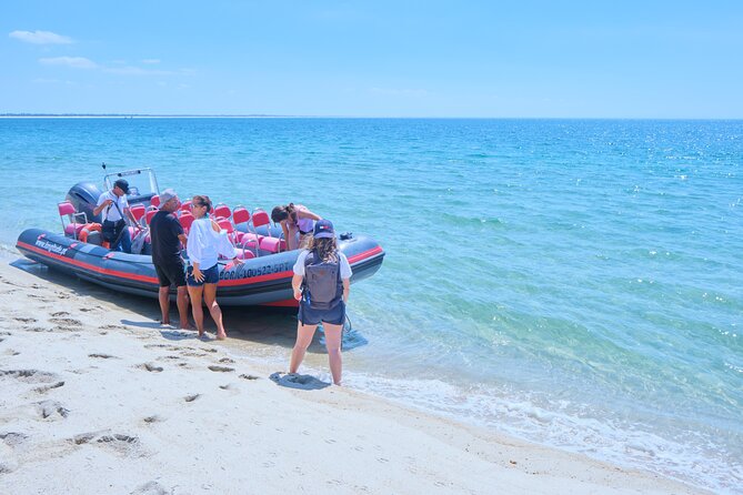 Dolphin Watching in Setúbal - Tips for a Great Experience