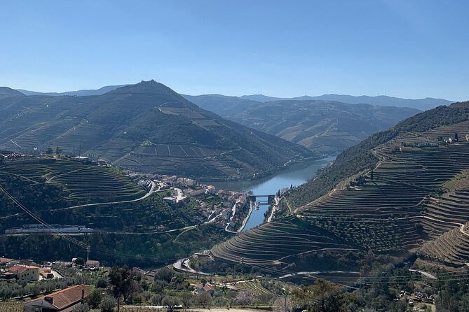 Douro Full Day Tour With Wine Tasting and Lunch - Traveler Reviews and Feedback