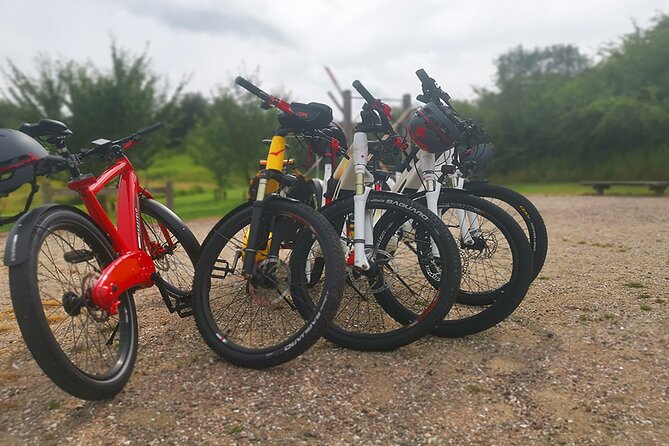 E-Biking Central Forgotten Giants S Adventure - Environmental Insights
