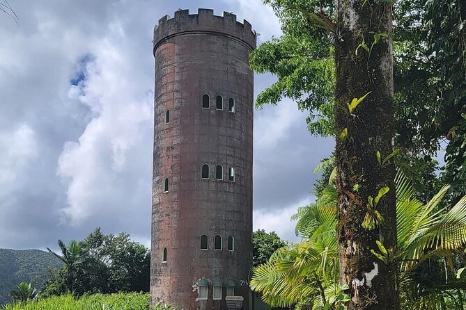 El Yunque National Forest Guided Tour With Transport - Traveler Reviews and Ratings