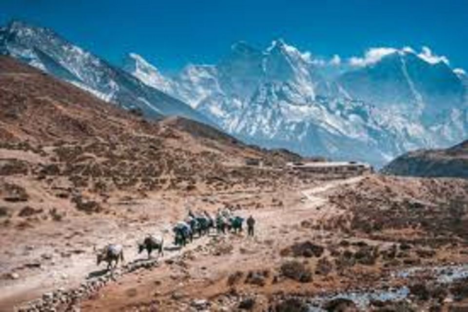 Everest Base Camp & Kala Pattar Trek - 15 Day - Travel Tips and Recommendations