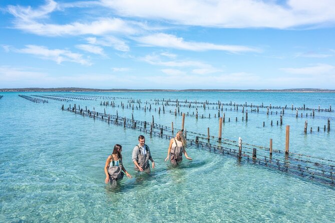 Experience Coffin Bay Oyster Farm and Bay Tour - Accessibility Features