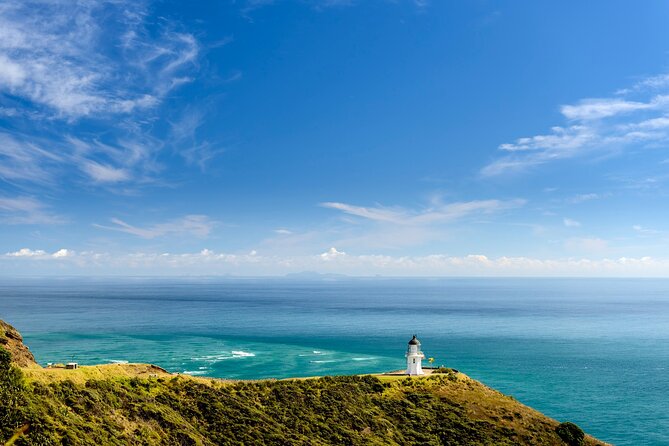 Far North New Zealand Tour Including 90 Mile Beach and Cape Reinga From Paihia - Cancellation and Booking Policy