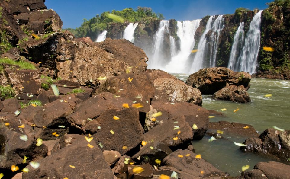 Foz Do Iguaçu: Brazilian Side of the Falls - Visitor Experience and Feedback